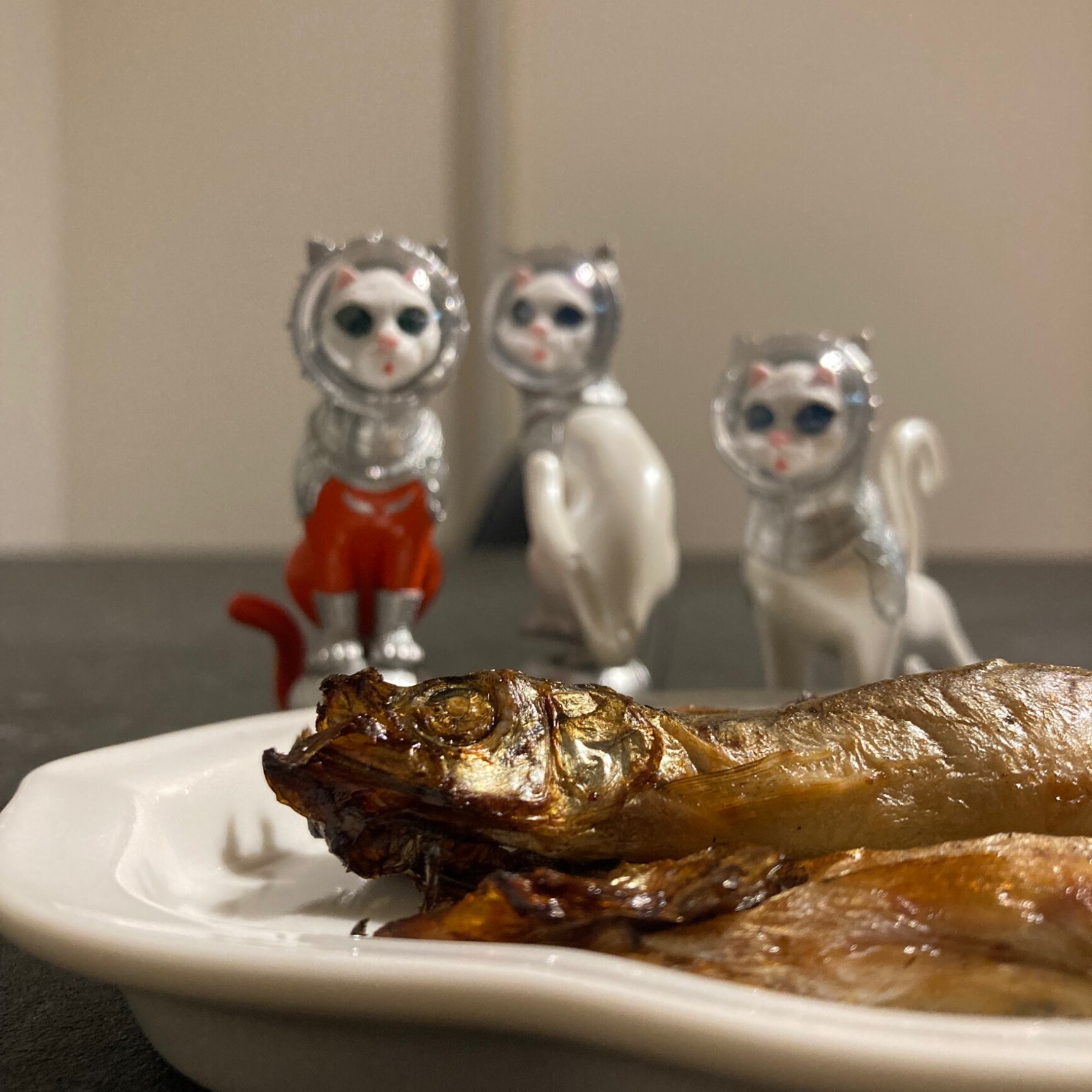 ART IN THE POCKET ヤノベケンジ シップス キャット 全3種セット 奇譚