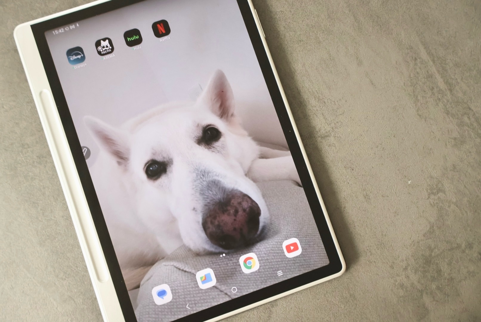 XPPen カラーノートパッド パソコン不要 10.95インチ Android