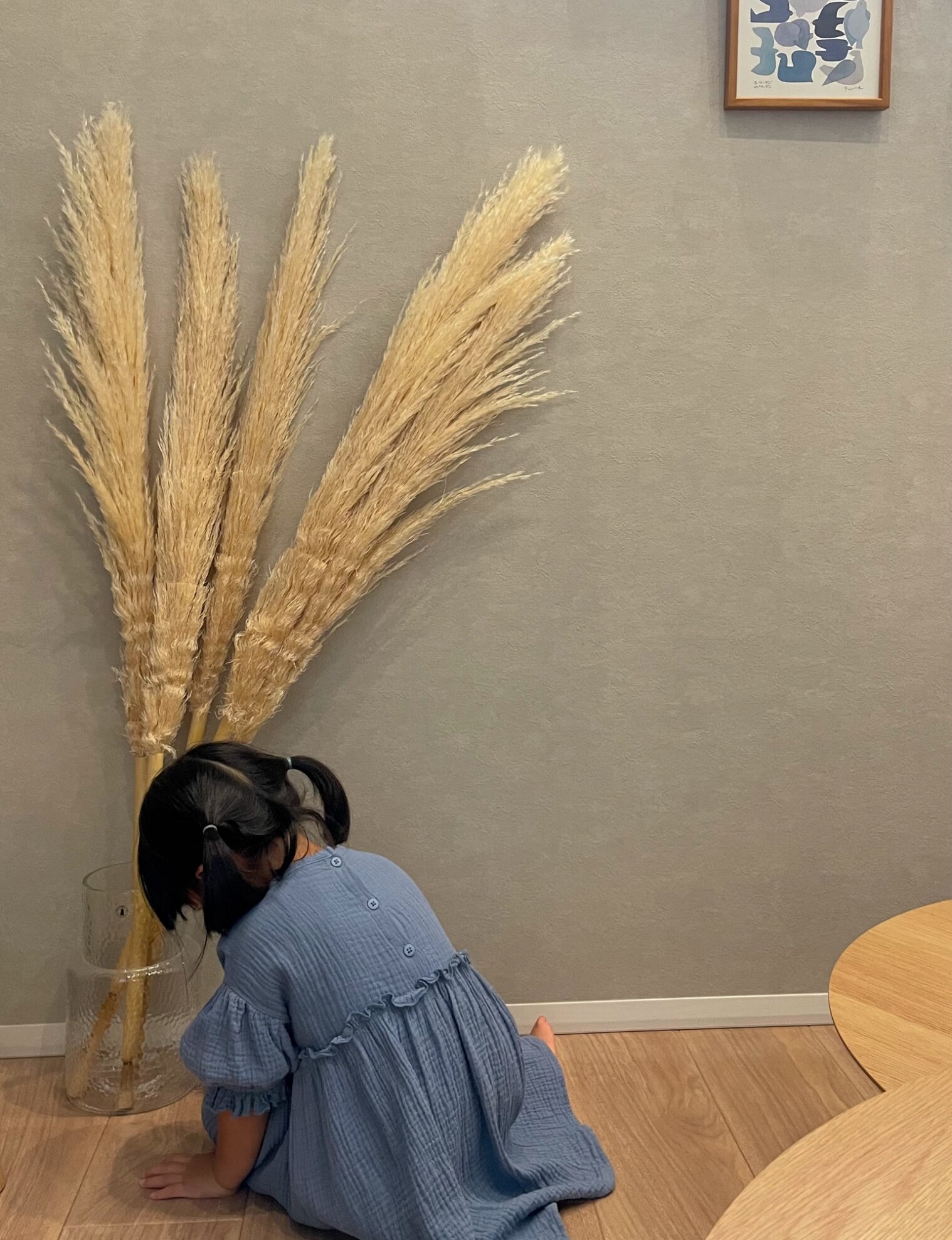 売れ筋】花 ドライフラワー パンパスグラス晩生パンパス5本