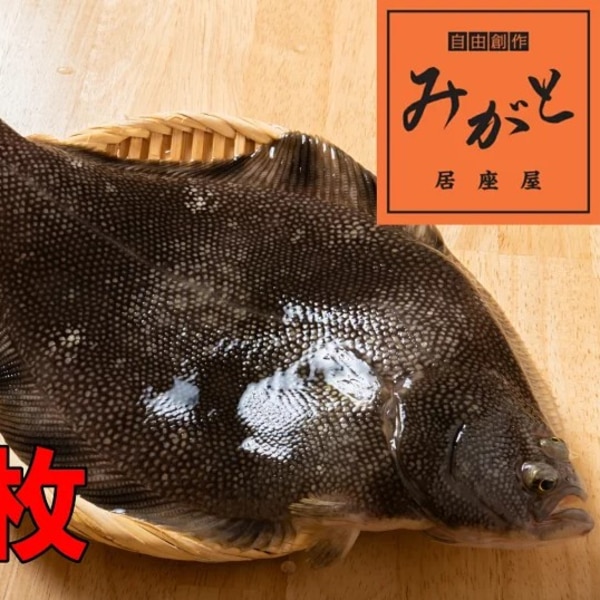 マツカワカレイ 青森県産 刺身 焼き魚 煮魚 唐揚げ 漬け 海鮮丼 外ヶ浜町 活締め 送料無料