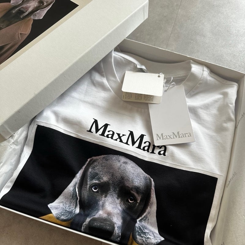 MAX MARA マックスマーラ 半袖 Tシャツ CIPRIA チプリア レディース