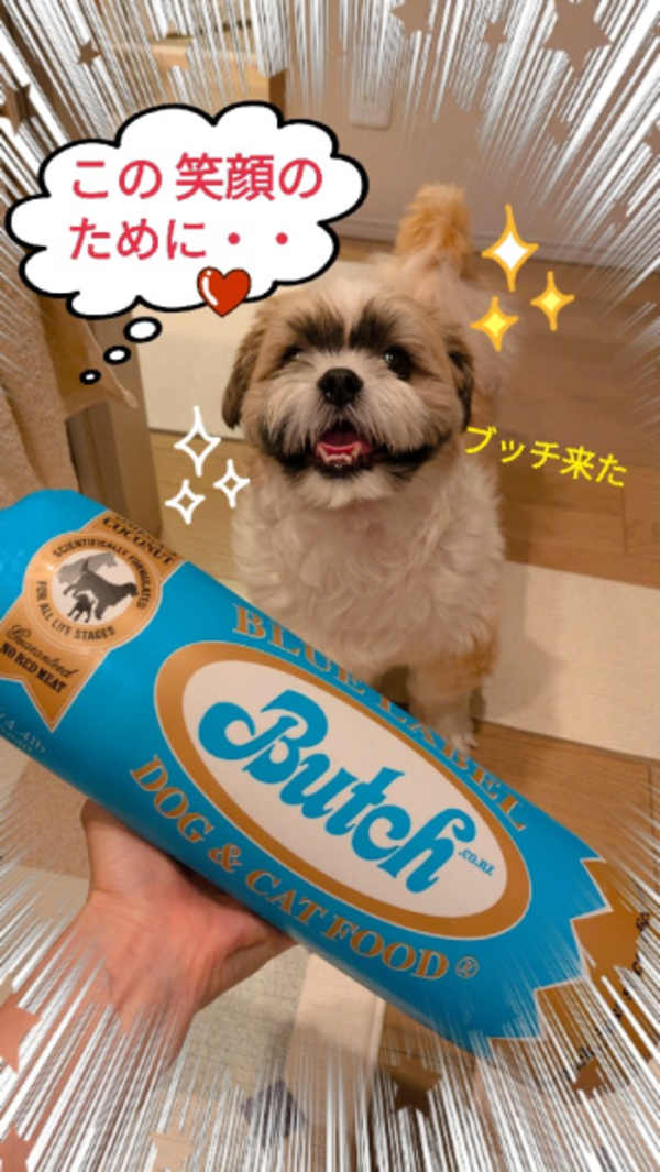 入荷次第発送予定】ブッチ ブルー・レーベル 2kg チキン&フィッシュ 1 