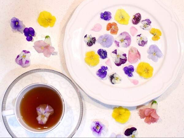 食用花 日時指定可 お急ぎの方は最短希望と備考欄にお書き下さい エディブル フラワー 冬季の花は50 70輪程度です 冷蔵保存にて夏季は5日程度冬季は一週間程度