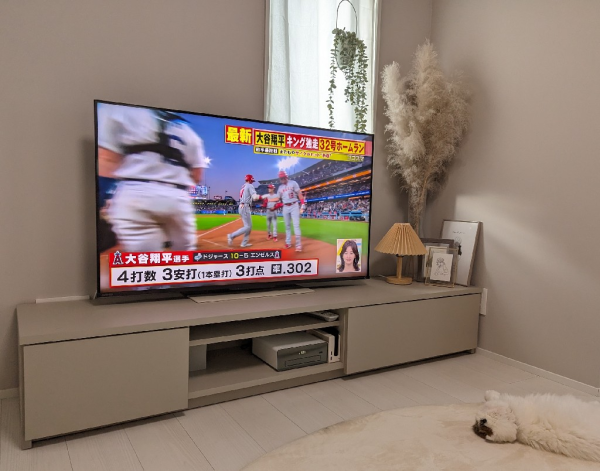 無料長期保証】東芝 50Z670L 4K量子ドット液晶テレビ レグザ Z670L 