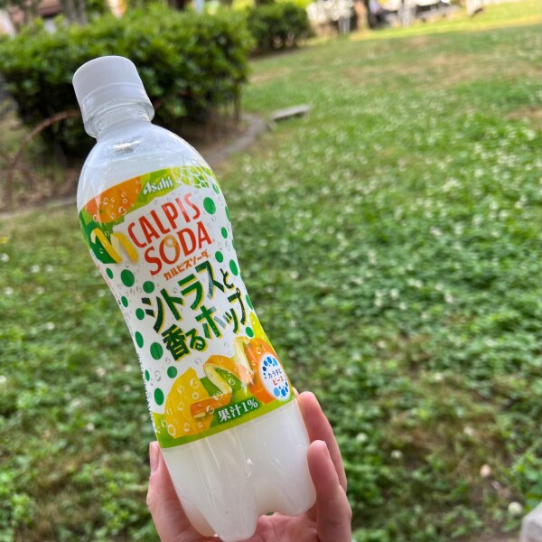 送料無料 アサヒ飲料 カルピスソーダ シトラスと香るホップ 500mlペットボトル×24本入 ※北海道・沖縄・離島は別途送料が必要。 送料無料 アサヒ飲料 カルピスソーダ シトラスと香るホップ 500mlペットボトル×24本入 ※北海道・沖縄・離島は別途送料が必要。