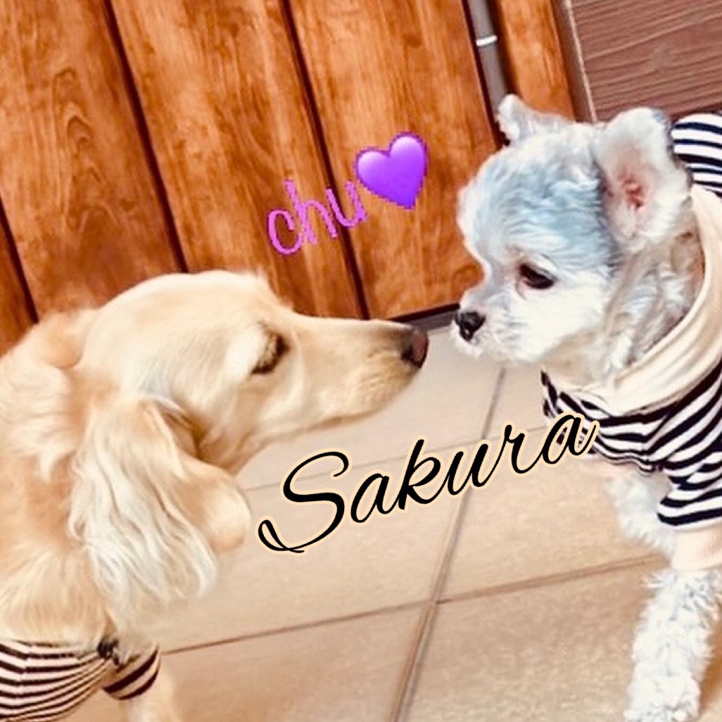 ❤️さくら様3点⭐柴犬柄⭐3段ラック・コロコロ❤️--179・180・182 ❤️さくら様3点⭐柴犬柄⭐3段ラック・コロコロ❤️--179・180・182