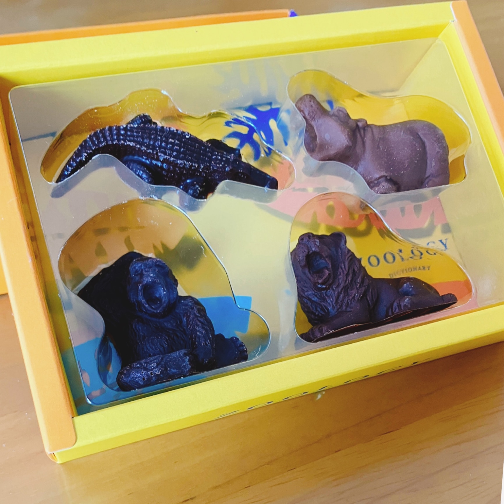 お菓子 ギフト チョコ チョコレート 2026『ZOOLOGY』ディクショナリーS