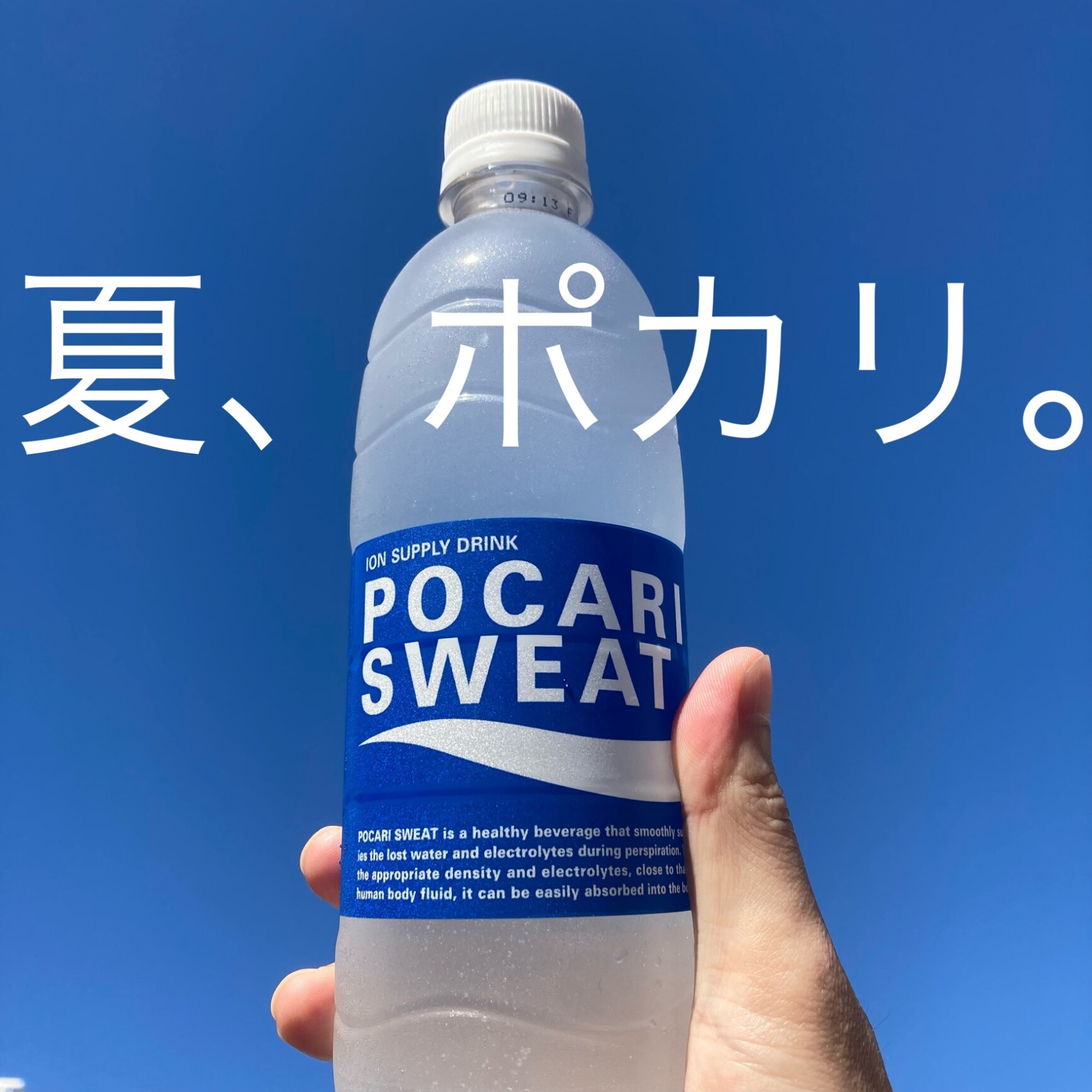 深緑(ふかみどり) パパの飲んだポカリスエット | nongferndaddy.com