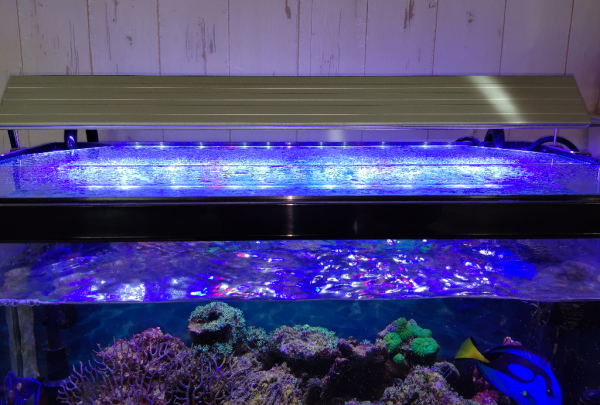 アクロ TRIANGLE LED MARINE 600 20000K 海水魚 サンゴ LED 照明 沖縄