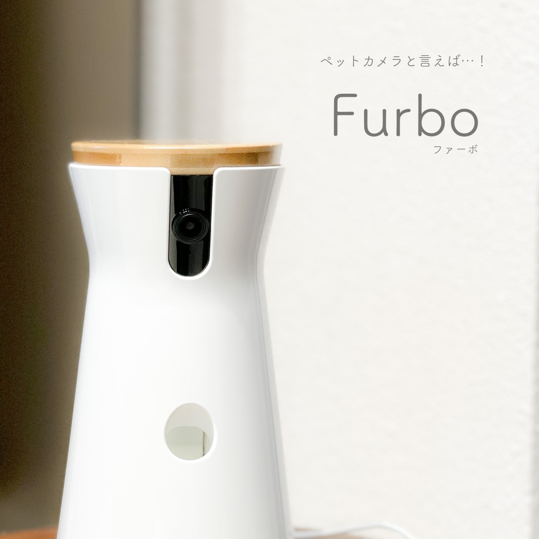 新型】Furboドッグカメラ - 360°ビュー[ファーボ] - AI搭載 wifi ペットカメラ ペット 見守りカメラ カメラ 犬 留守番  飛び出すおやつ 自動追尾機能 カラー暗視モード 双方向会話 スマホ iPhone & Android 対応 アカウント共有 写真 動画