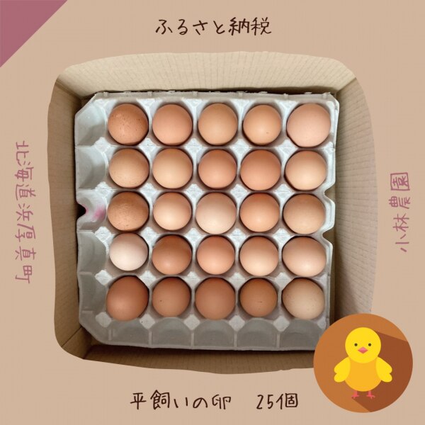 日本産 ふるさと納税 厚真町 小林農園の平飼い卵 有精卵 50個