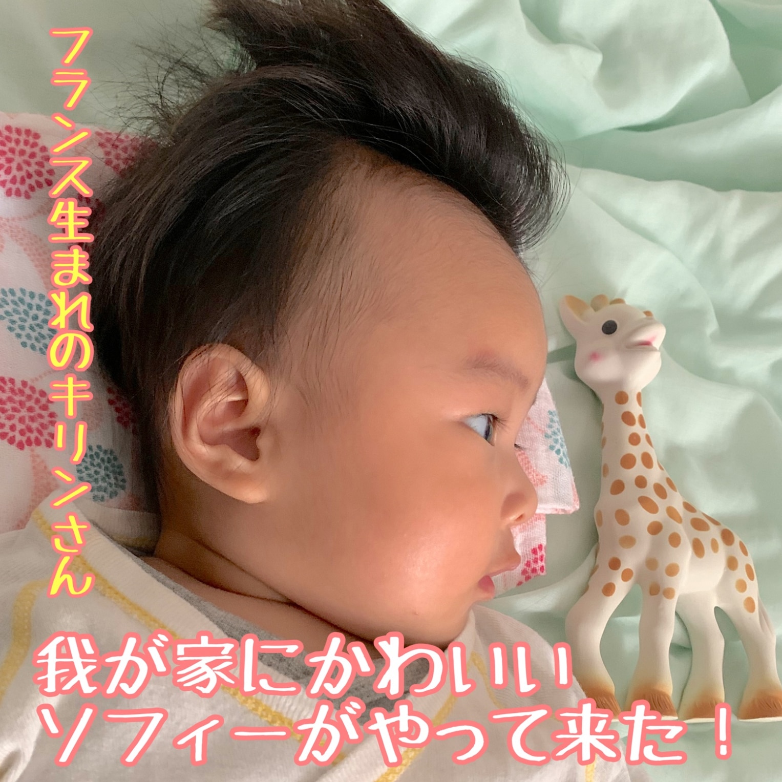 今だけクーポン配布中】キリンのソフィー SOPHIE LA GIRAFE 616400