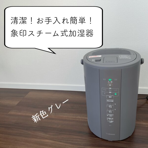 象印 お手入れ簡単ポット型スチーム式加湿器 通ず 3.0L グレー EE-