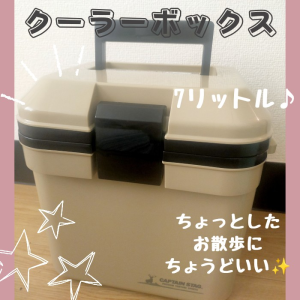 TV放映 安心設計 スピードヒート 電熱ベスト 温熱ベスト ベスト 防寒 ヒーターベスト ヒートベスト ヒーター アウトドア ゴルフ 釣り
