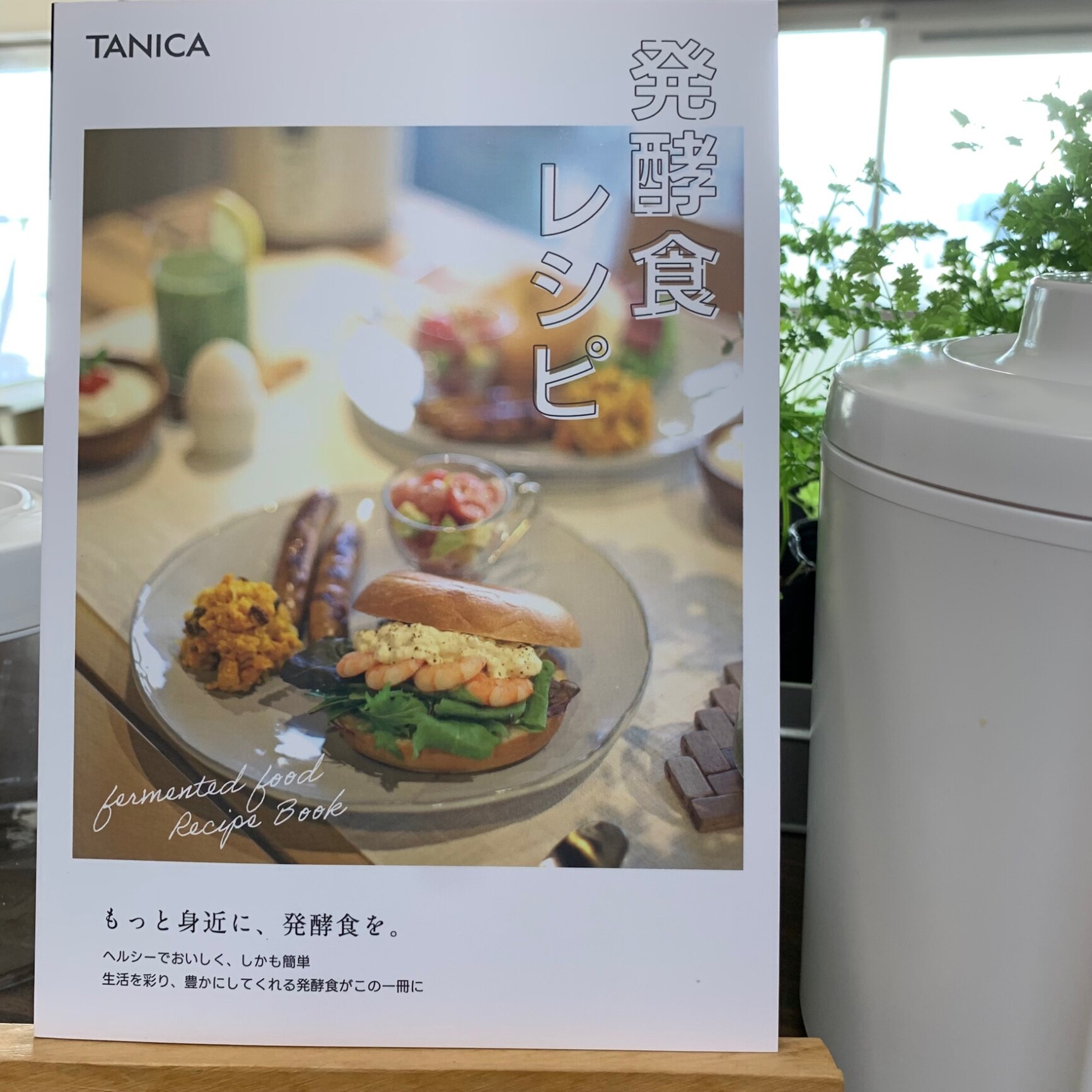 公式】タニカ ヨーグルティアS ガラスセット 日本製 ヨーグルト