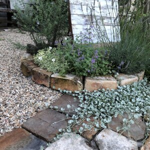 雑草対策に役立つ グランドカバー アイテムはコレ Room 欲しい に出会える 雑草対策に役立つ グランドカバー アイテムはコレ Room 欲しい に出会える