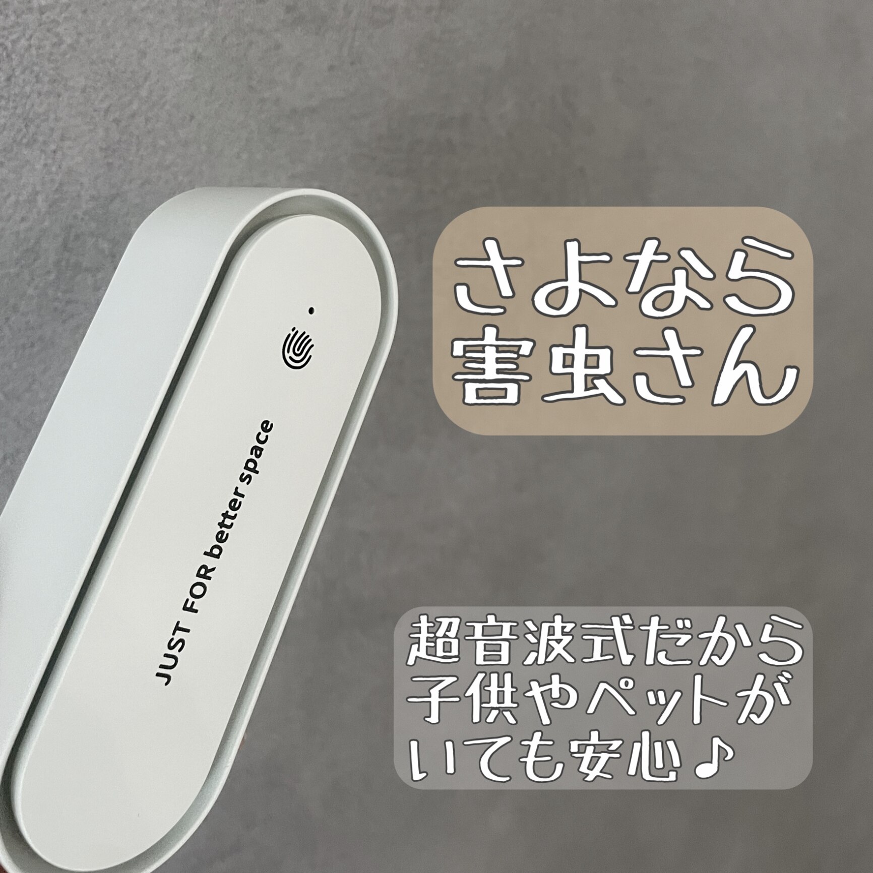 4個までメール便OK! スッポンフック ステン お買得パック 12個入り