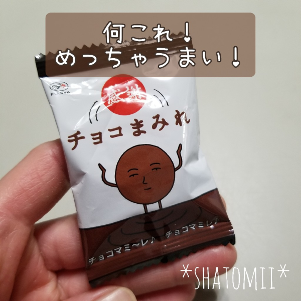 不二家 カントリーマアム チョコまみれ 大容量 100袋（1kg）ビッグ