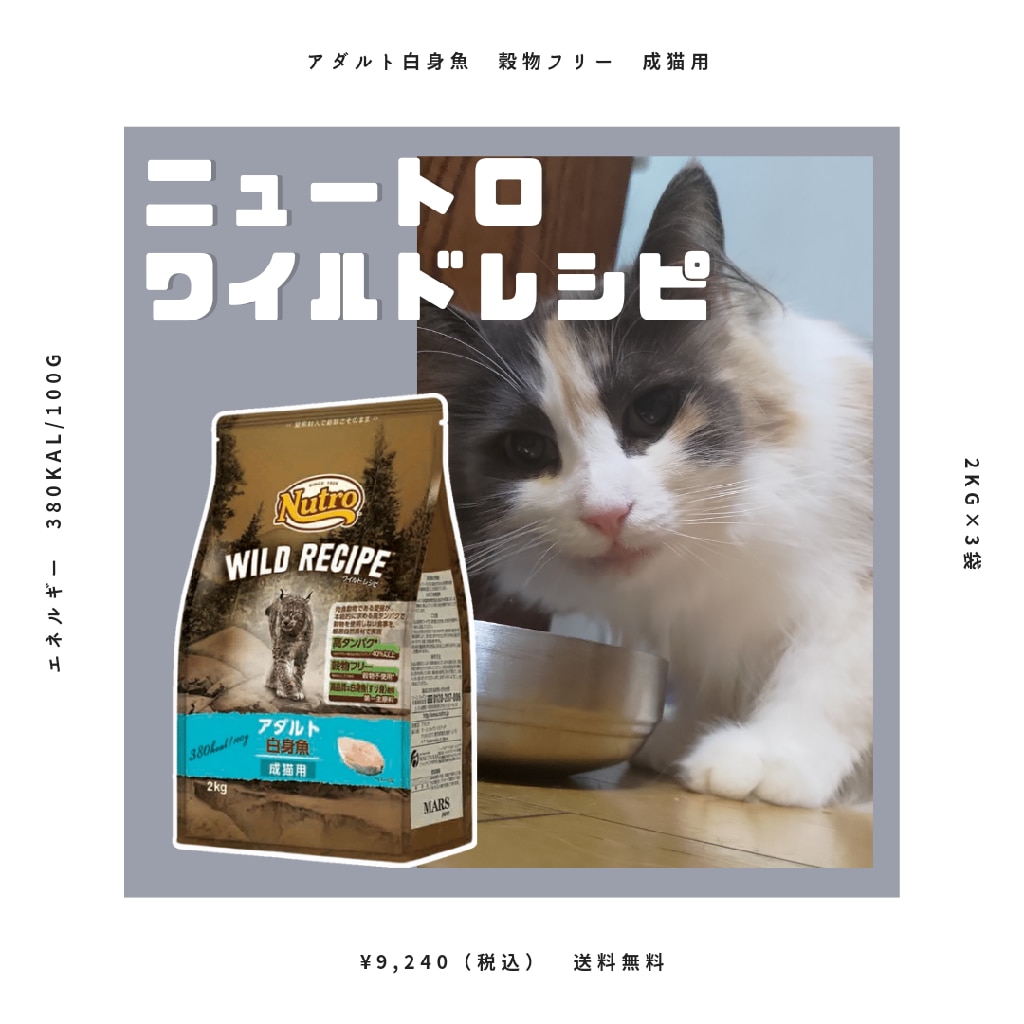 希少 ニュートロ ワイルドレシピ アダルト（成猫用） チキン ２kg