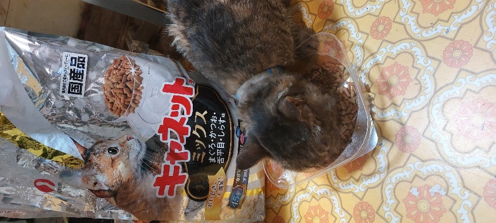 ❤多機能❣無添加のドライフードが簡単手軽に作れちゃう♪❤ドライフードメーカー ❤多機能❣無添加のドライフードが簡単手軽に作れちゃう