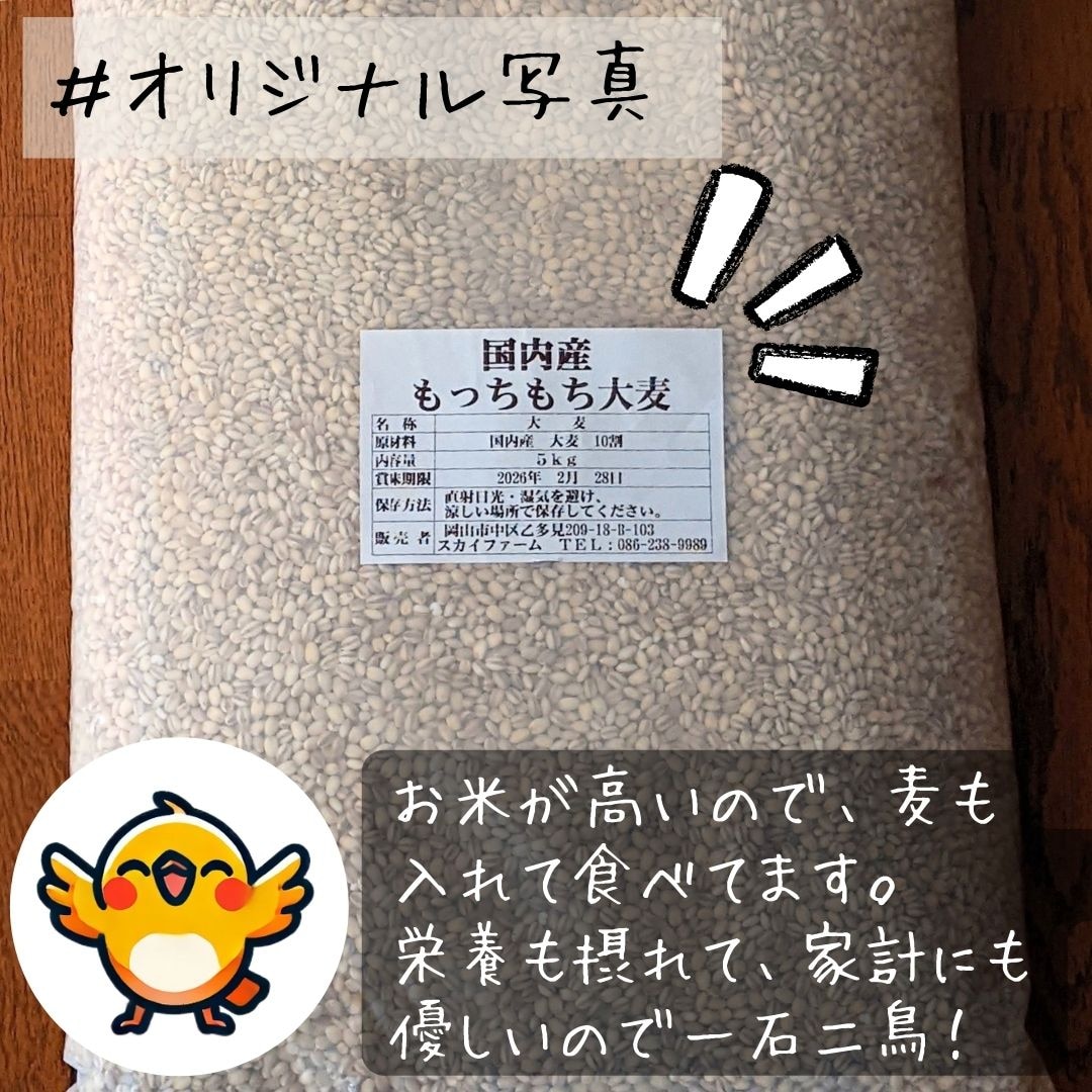 大麦 国内産 もっちもち大麦 5kg もち麦の変わりに 送料無料