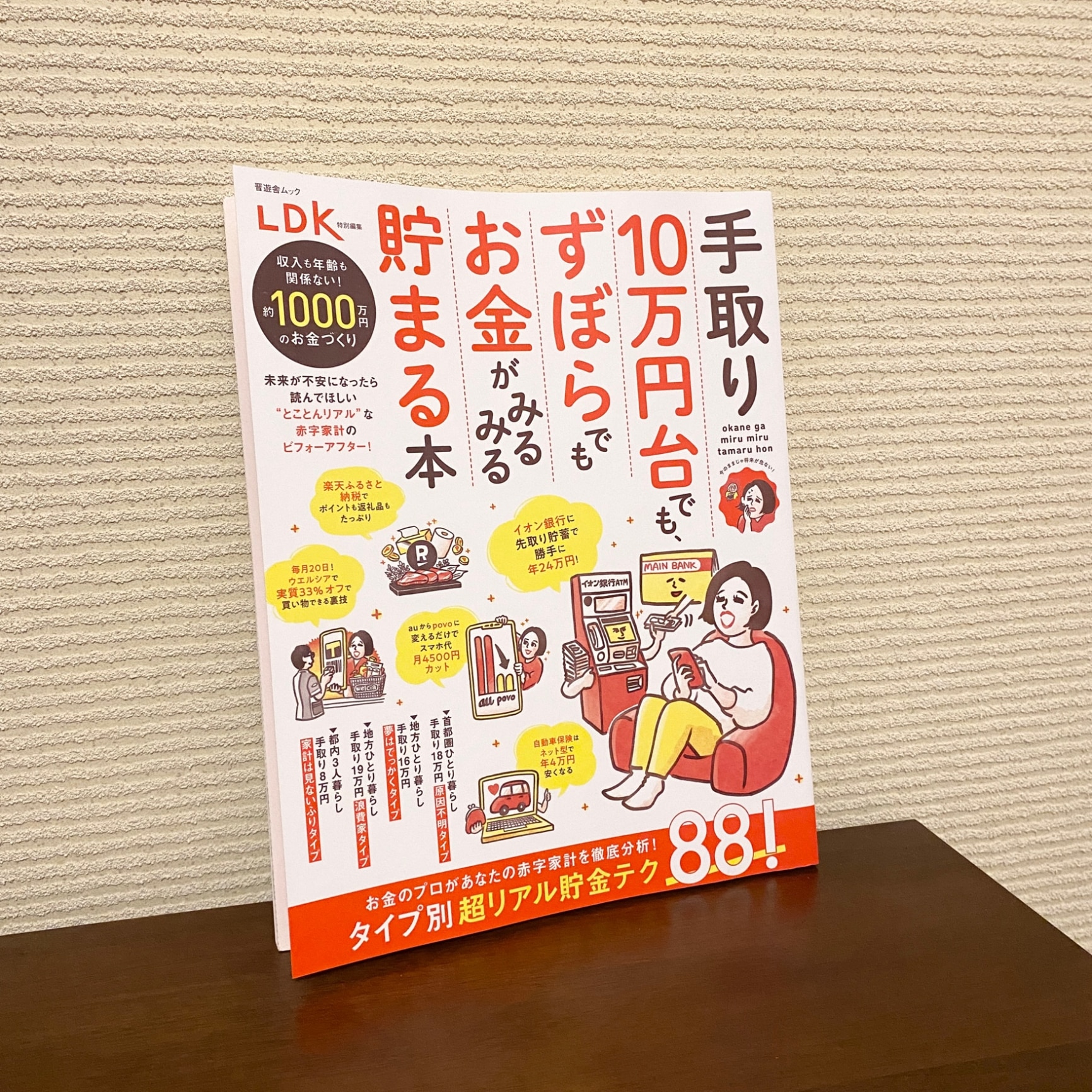 手取り10万円台でも、ずぼらでもお金がみるみる貯まる本 （SHINYUSHA