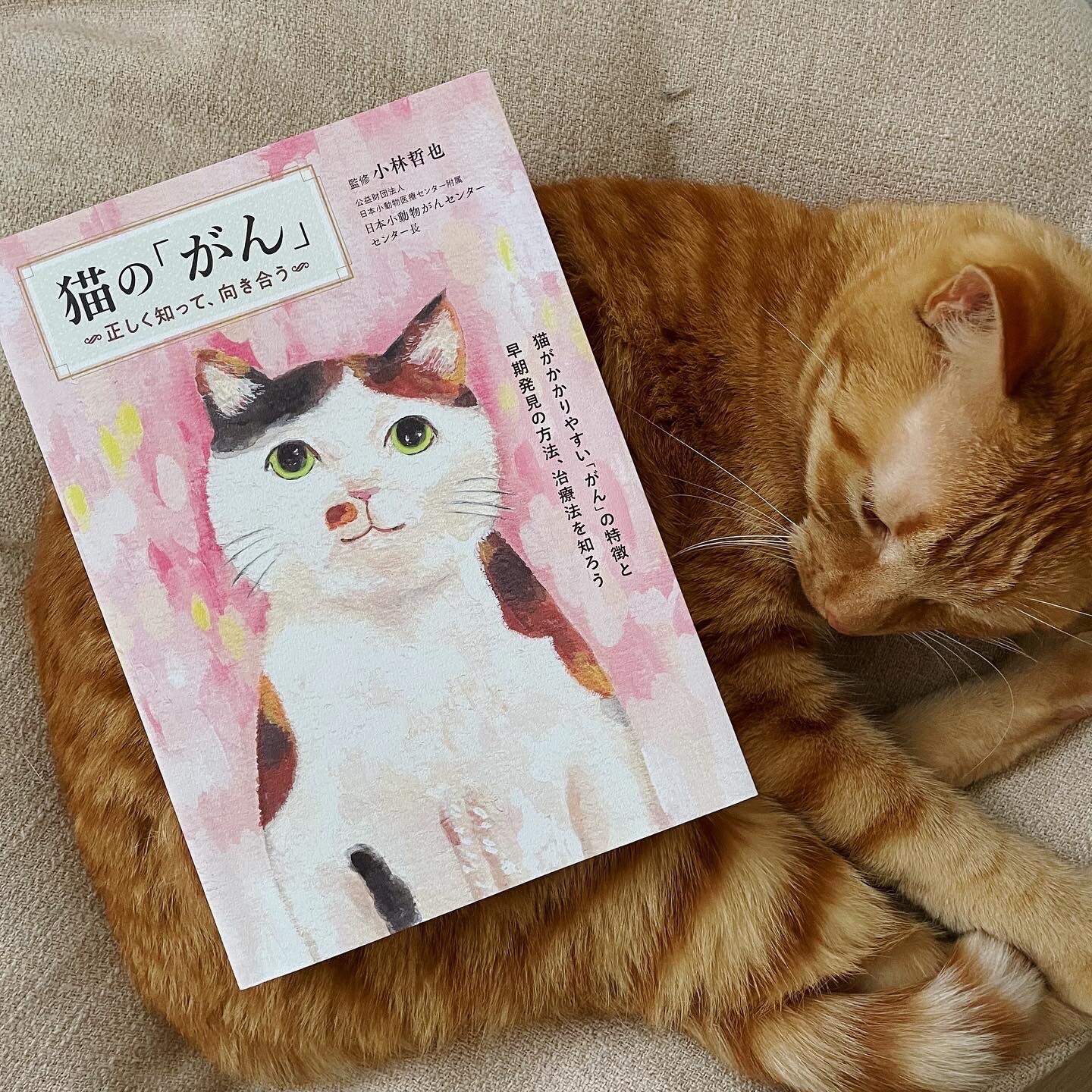 猫の「がん」 ～正しく知って、向き合う [ 小林哲也 ]