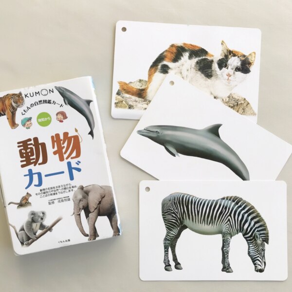 動物カード くもんの自然図鑑カード 成島悦雄