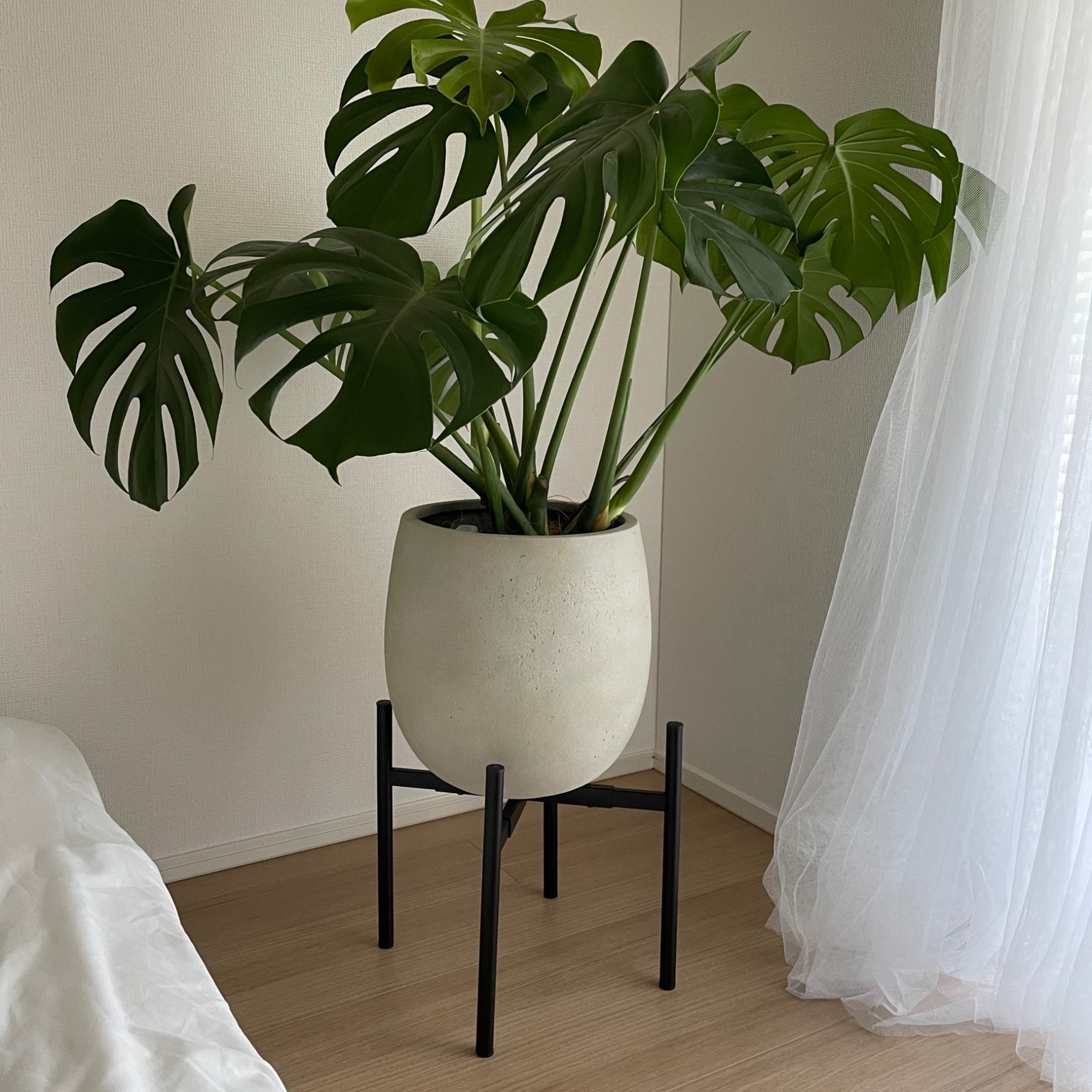 テラニアスバルーン アンティークブラック 鉢カバー 観葉植物 10号 30cm 楽天市場】【1日はP7倍！】テラニアス バルーン 30cm×30cm【鉢