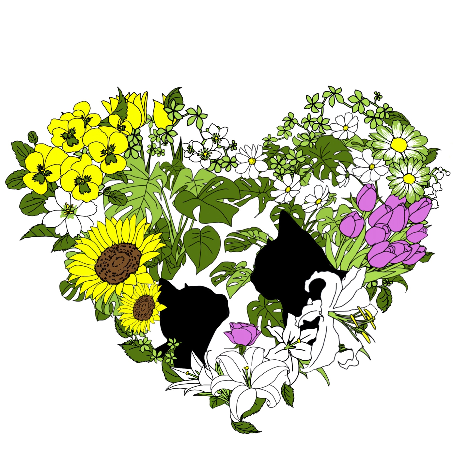 らんまん のROOM - 欲しい! に出会える。