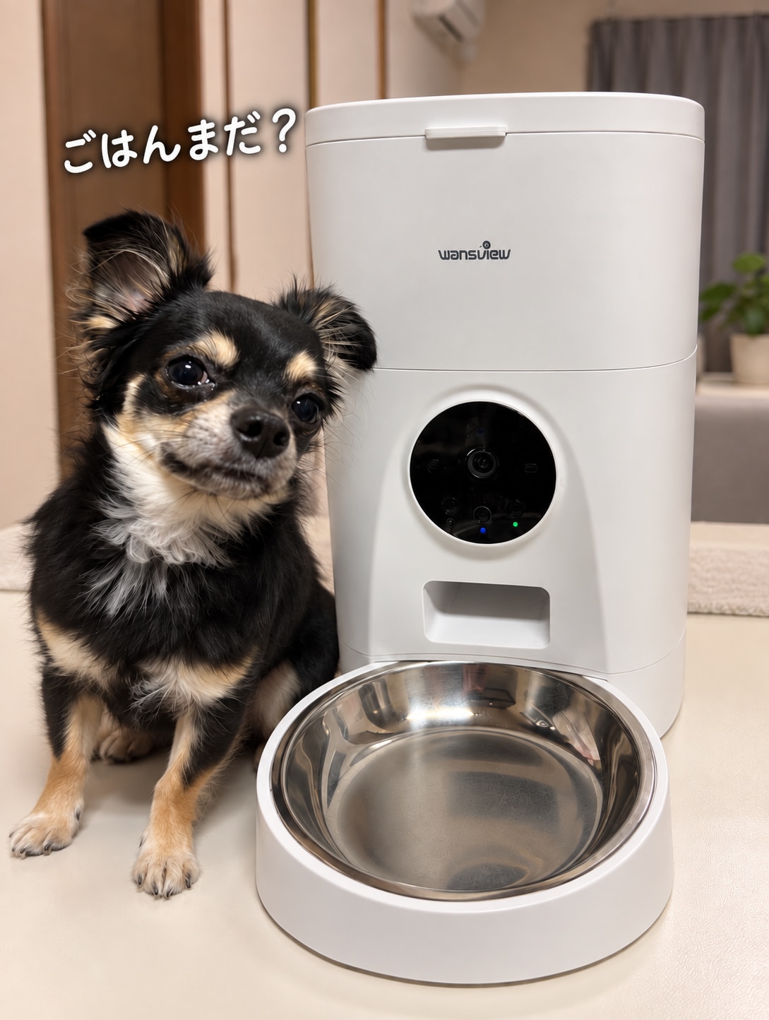 送料無料】【楽天ランキング1位獲得】Wansview 自動給餌器 猫犬対応