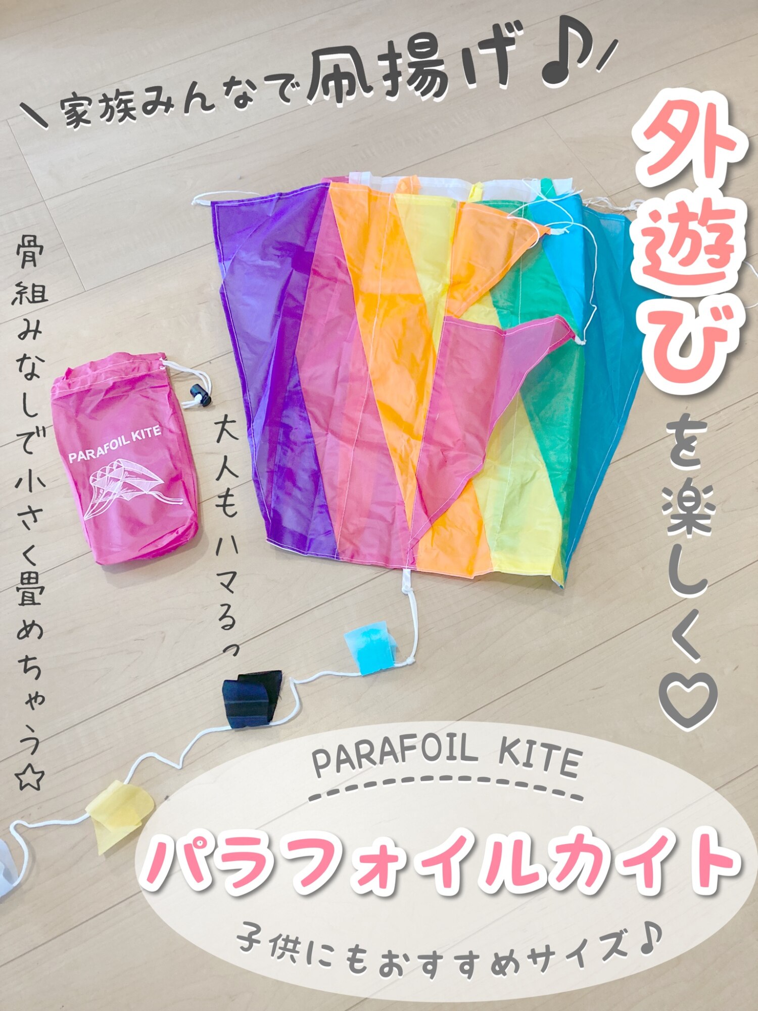 パラフォイル カイト 凧 凧揚げ タコ スポーツカイト PARAFOIL