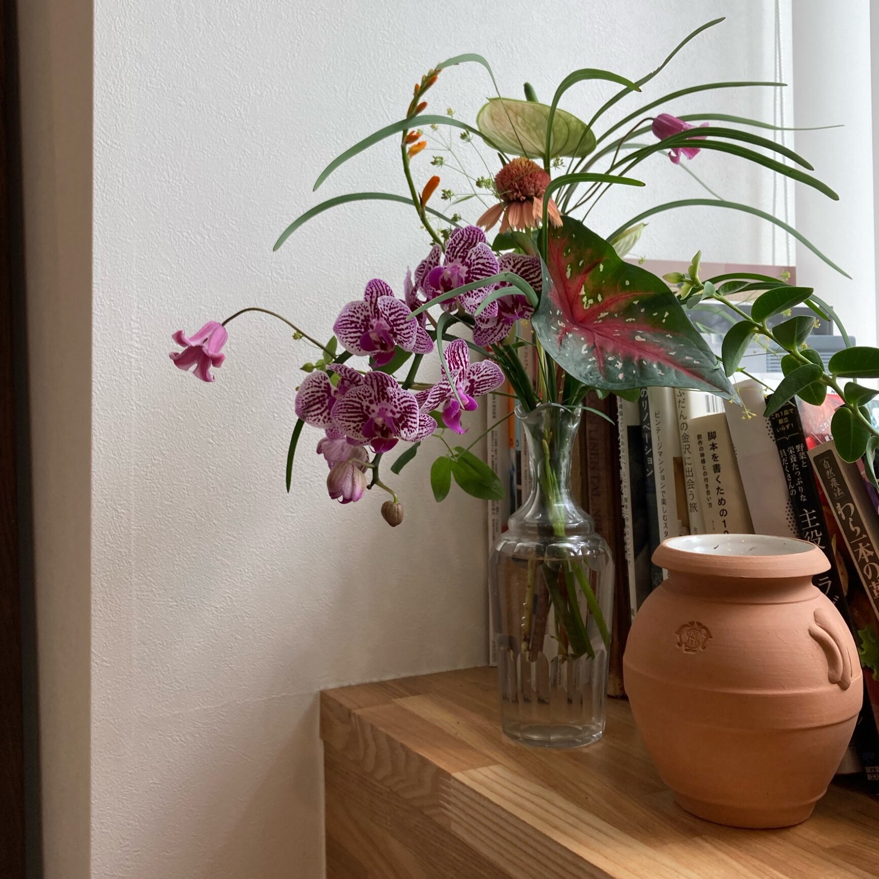 サンタマリアノヴェッラ 【Santa Maria Novella】 テラコッタ