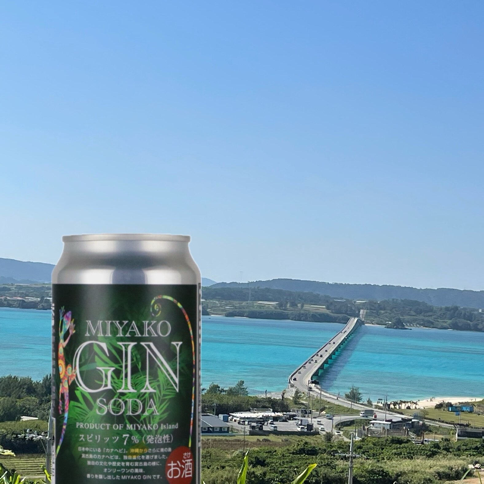 94904f81353a8721164838929424a0