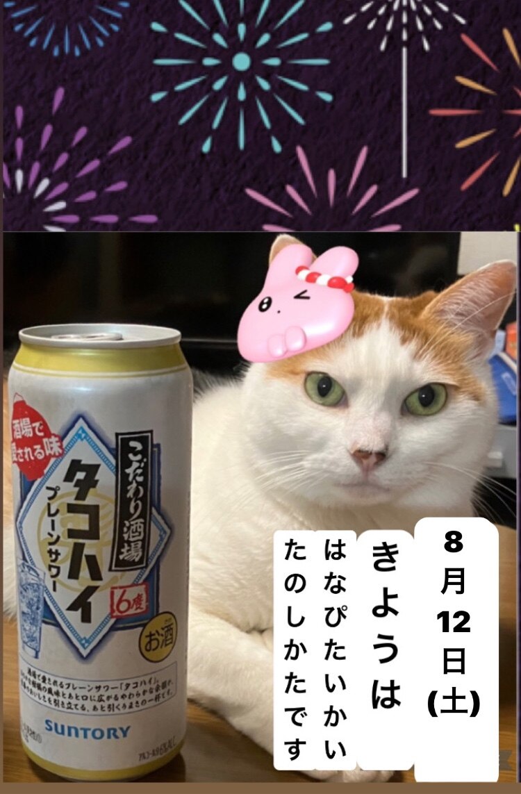 SUNTORY タコハイ 6% 500ml 45本　味わいプレーン サントリー こだわり酒場のタコハイ プレーンサワー 500ml缶