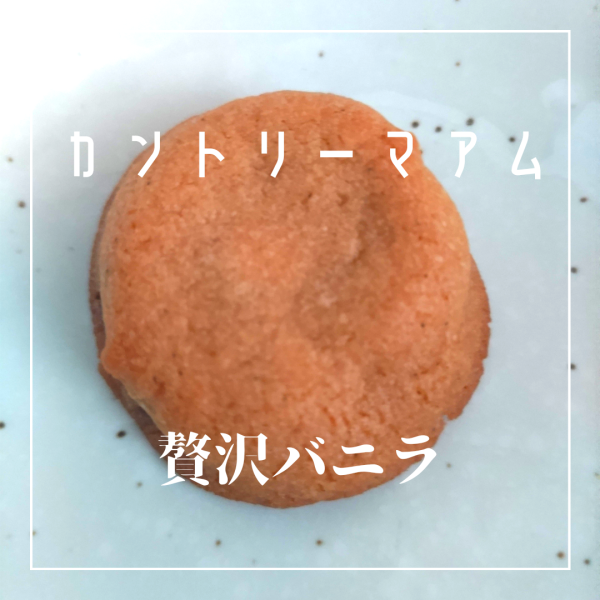 不二家 カントリーマアム 厳選バニラ 12枚×5袋入｜ 送料無料 お菓子