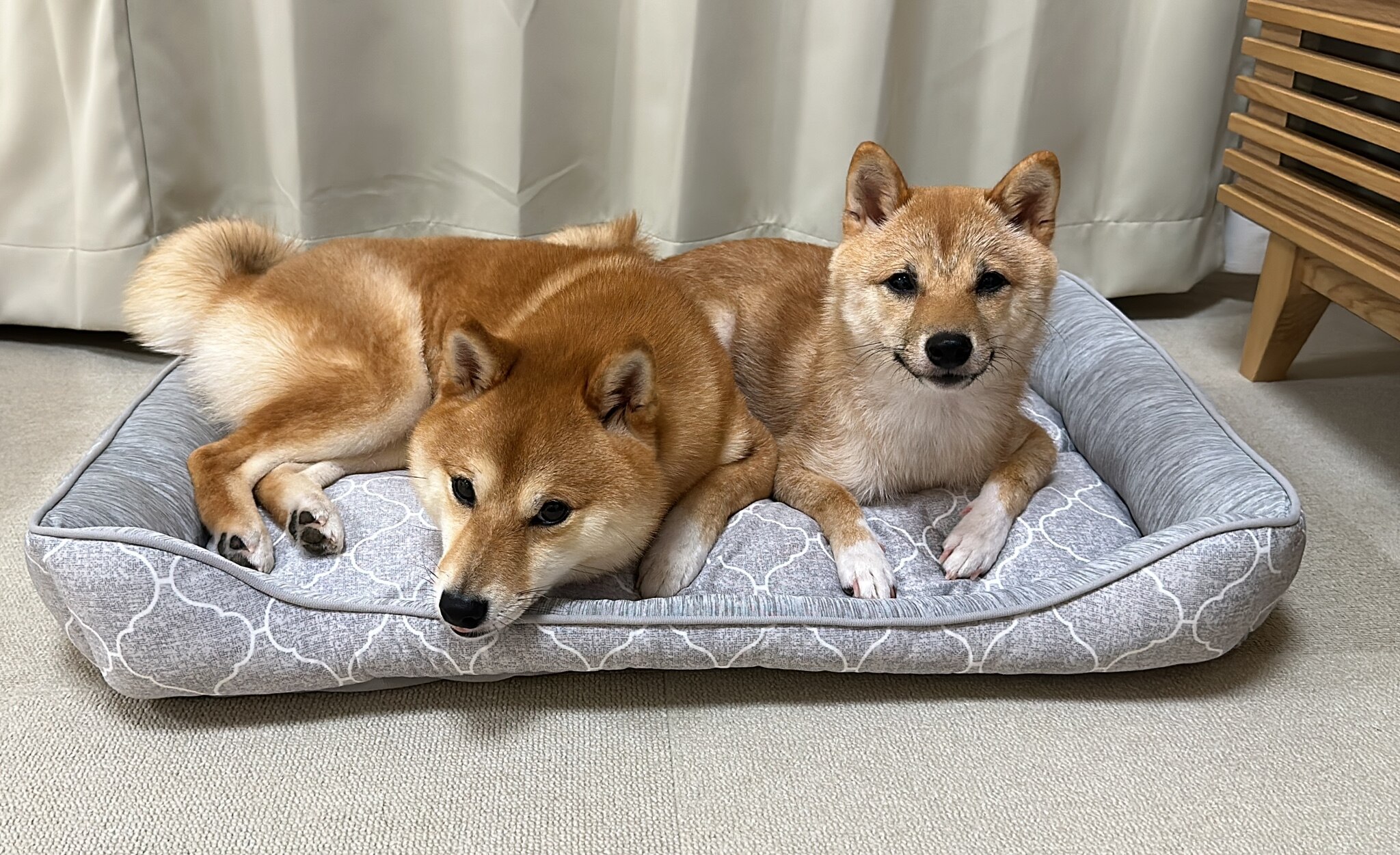 98b87d07be8592635b40724e2a04bd 