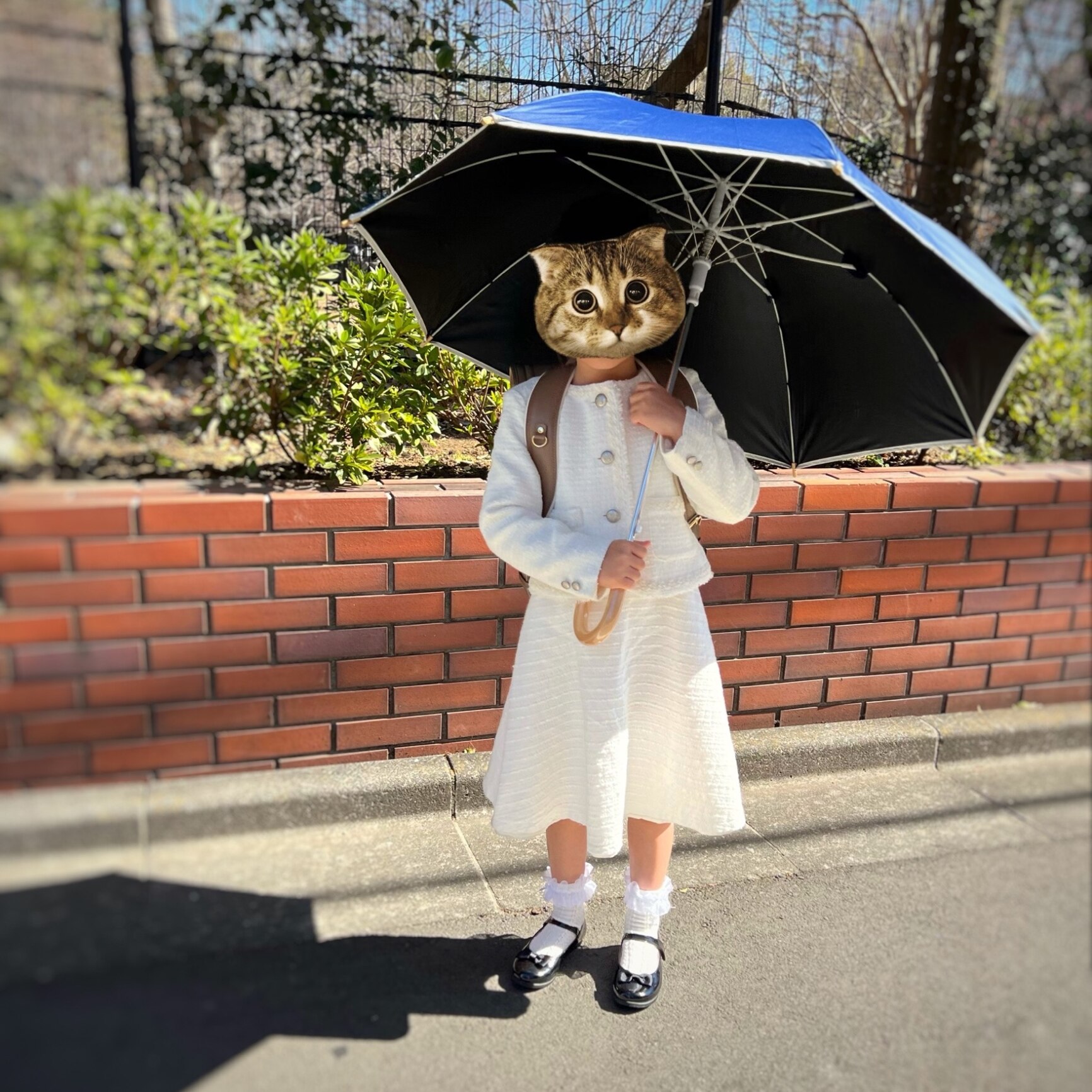 【LINE追加で300円クーポン】assa 傘 子供用 キッズ 安全日傘 晴雨兼用 長傘 55cm 透明窓 手開き 遮光 UVカット 100% 日傘 子供用 男の子 女の子 高学年 リフレクター ネームタグ 小学生 通学 無地 紫外線 遮熱 子供日傘 傘 こども 【送料無料】