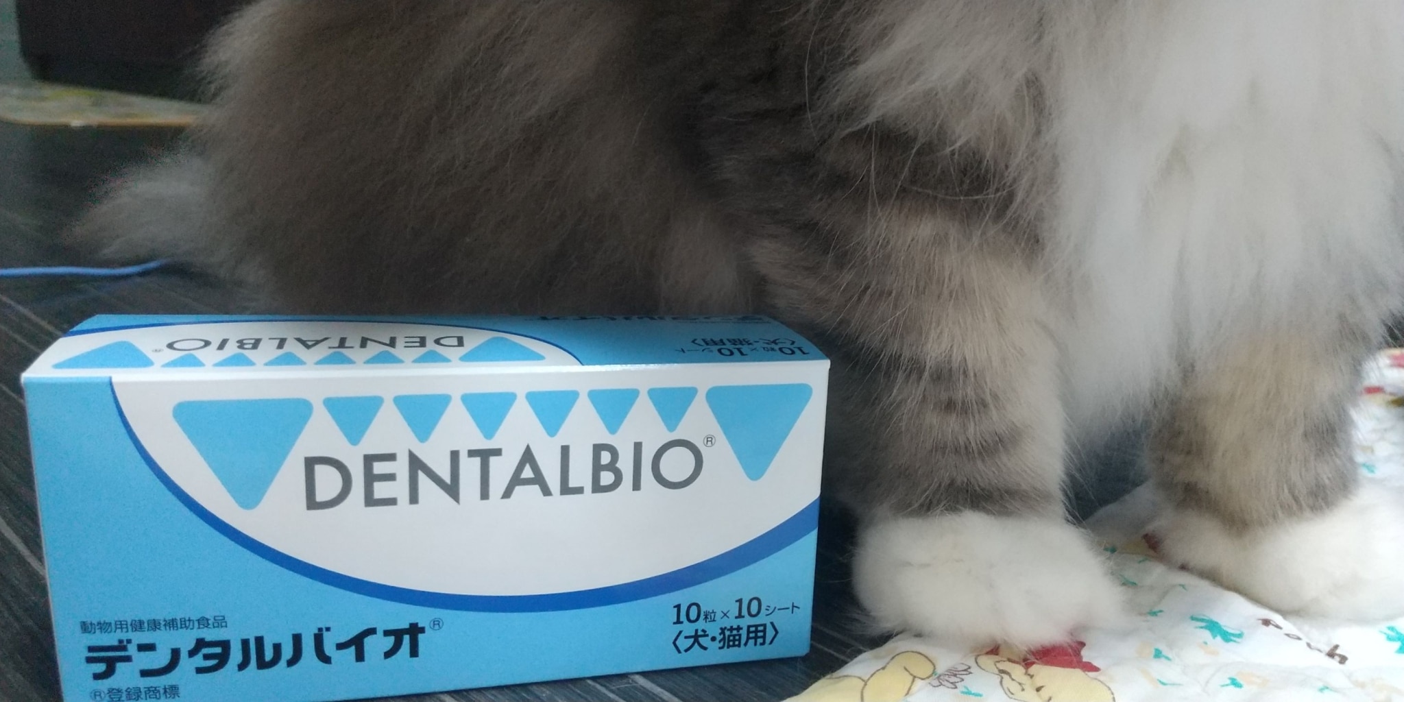 デンタルバイオ 10粒×10シート 100粒 共立製薬 犬猫用 口腔ケア