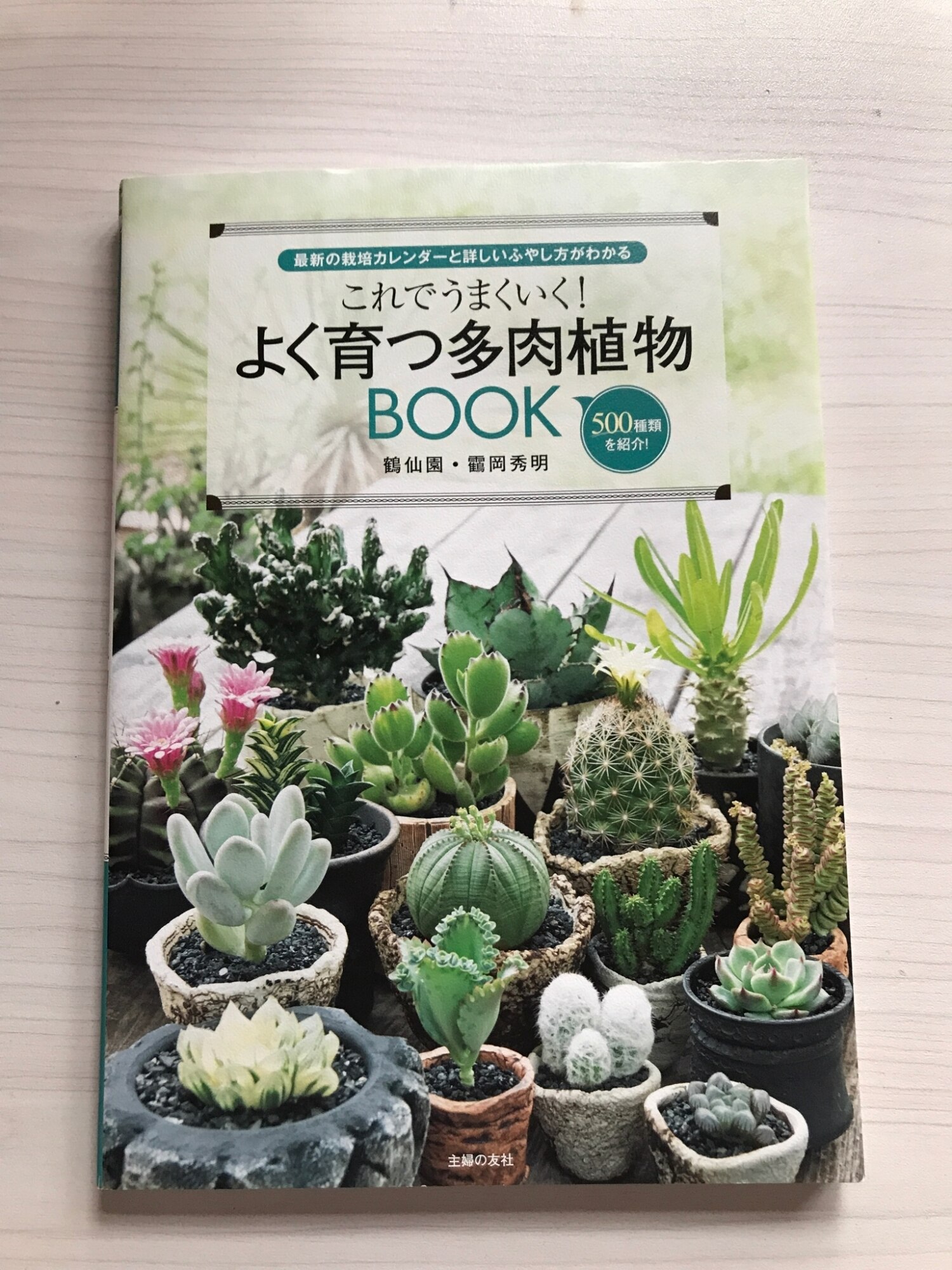 これでうまくいく よく育つ多肉植物book 鶴岡秀明