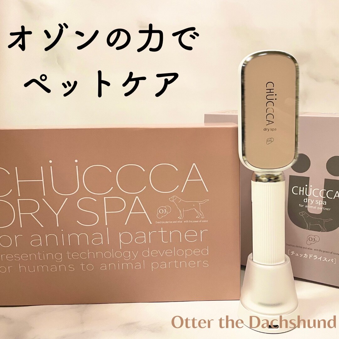 ハンディ型オゾン生成器 CHUCCCA dry spa チュッカ トライスハ あなた