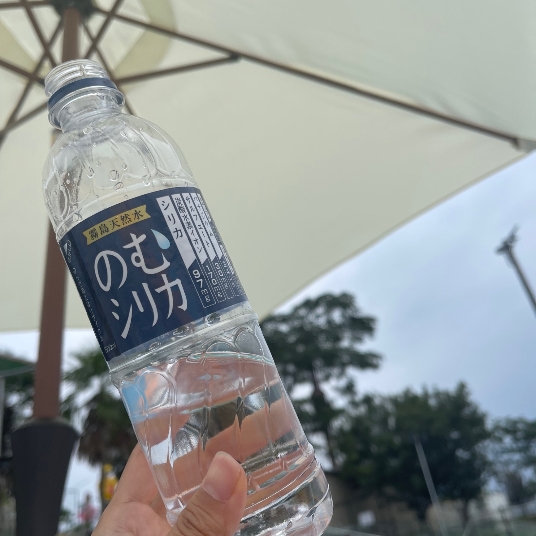 送料無料】霧島天然水のむシリカ【1箱／500ml×24本】水 軟水 500ml