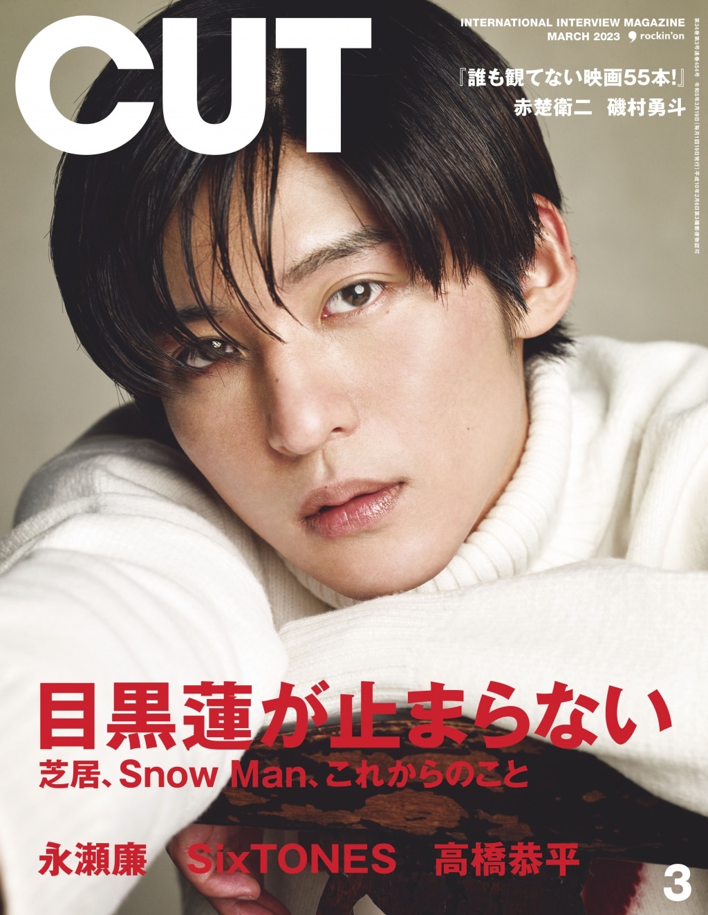 SnowMan 目黒蓮 表紙 掲載 雑誌 20冊 セット おまけ付き - 雑誌