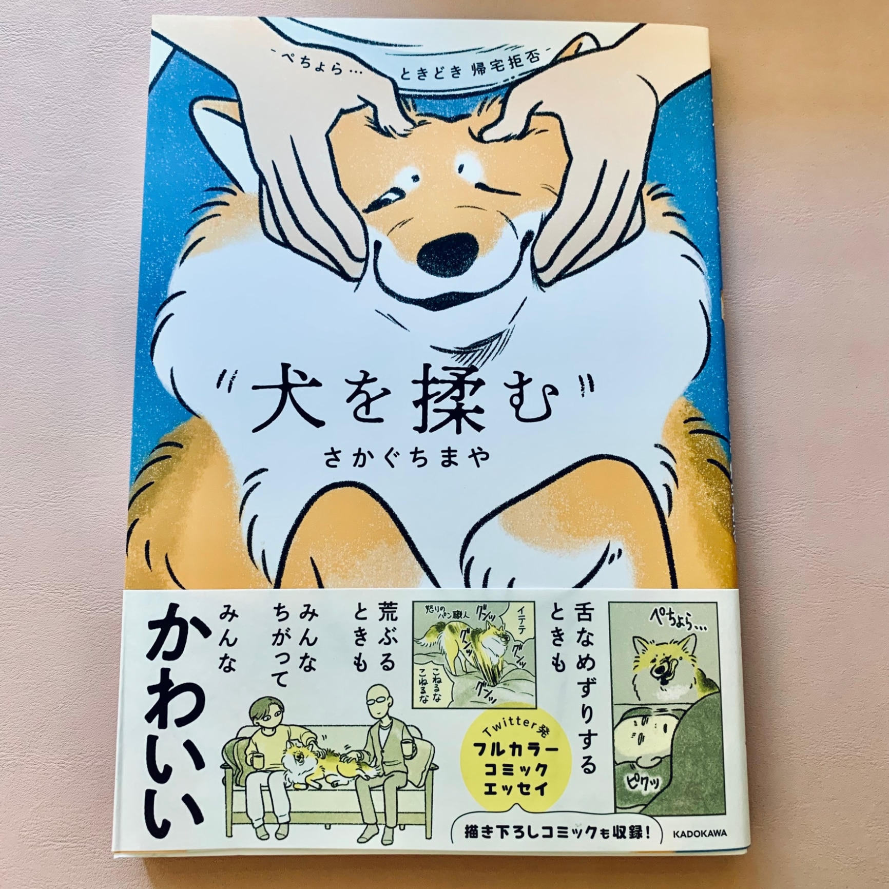 犬を揉む -ぺちょら… ときどき 帰宅拒否ー（1） [ さかぐち まや ]