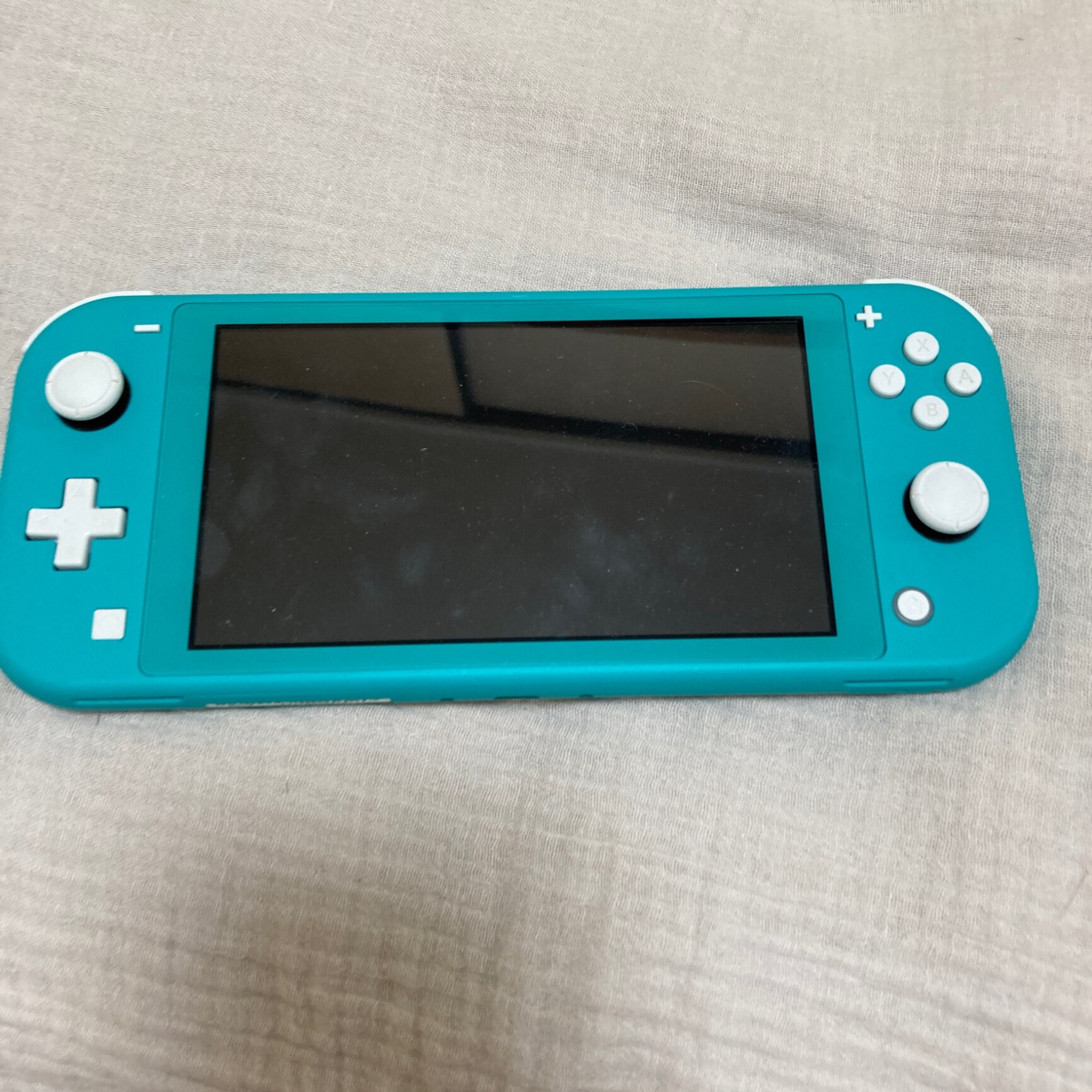 新品】任天堂 Nintendo Switch Lite ターコイズ HDH-S-BAZAA【当店限定