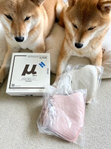 豆柴福ちゃん富くんの飼い主です のroom 欲しい に出会える