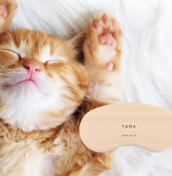 作るギフト Named ねこのひげケース 名入れ ギフト 猫用 ネコ 猫 ねこ ひげ ヒゲ 髭 ケース 猫 ひげケース入れ物 箱 保存 保管 ねこのひげ 猫のひげ 桐 Neko ねこひげ ネコのひげケース プレゼント おすすめ 翌々営業日出荷 送料無料