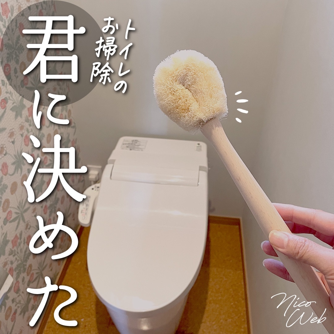 たわし 孫の手たわし おしゃれ 孫の手 タワシ 束子 ロハスフェスタ万博