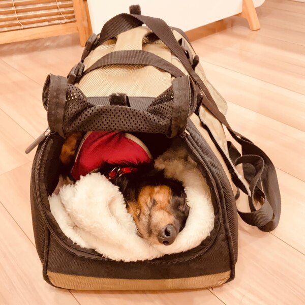 送料無料】JET SET BAG FF ジェットセットバッグ (Mサイズ) 猫用 