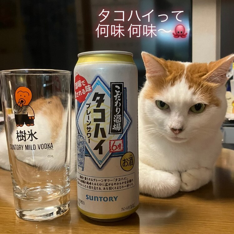 マ*ン様 ★47本 約9400円分★ タコハイ 500ml サントリー 缶チュー こだわり酒場のタコハイ 500ml缶 商品情報（カロリー・原材料